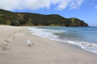 Mittagspause am Pazifik