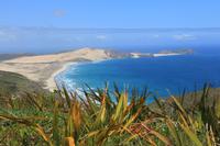 Strand am Cape Reinga