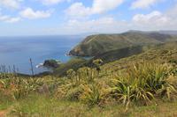 Strand am Cape Reinga