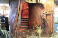 Treppe aus einem Kauristamm