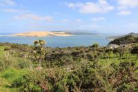 Blick auf die Bucht von Opononi