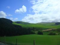 erste Eindrücke von der Landschaft Neuseelands