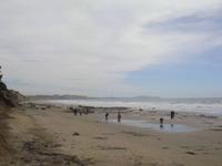 Strandspaziergang bei den Moeraki Boulders