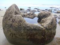 Moeraki Boulders