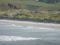 Strände für die Pinguine