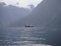 ...im Milford Sound