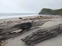 Wilder Strand an der Westküste