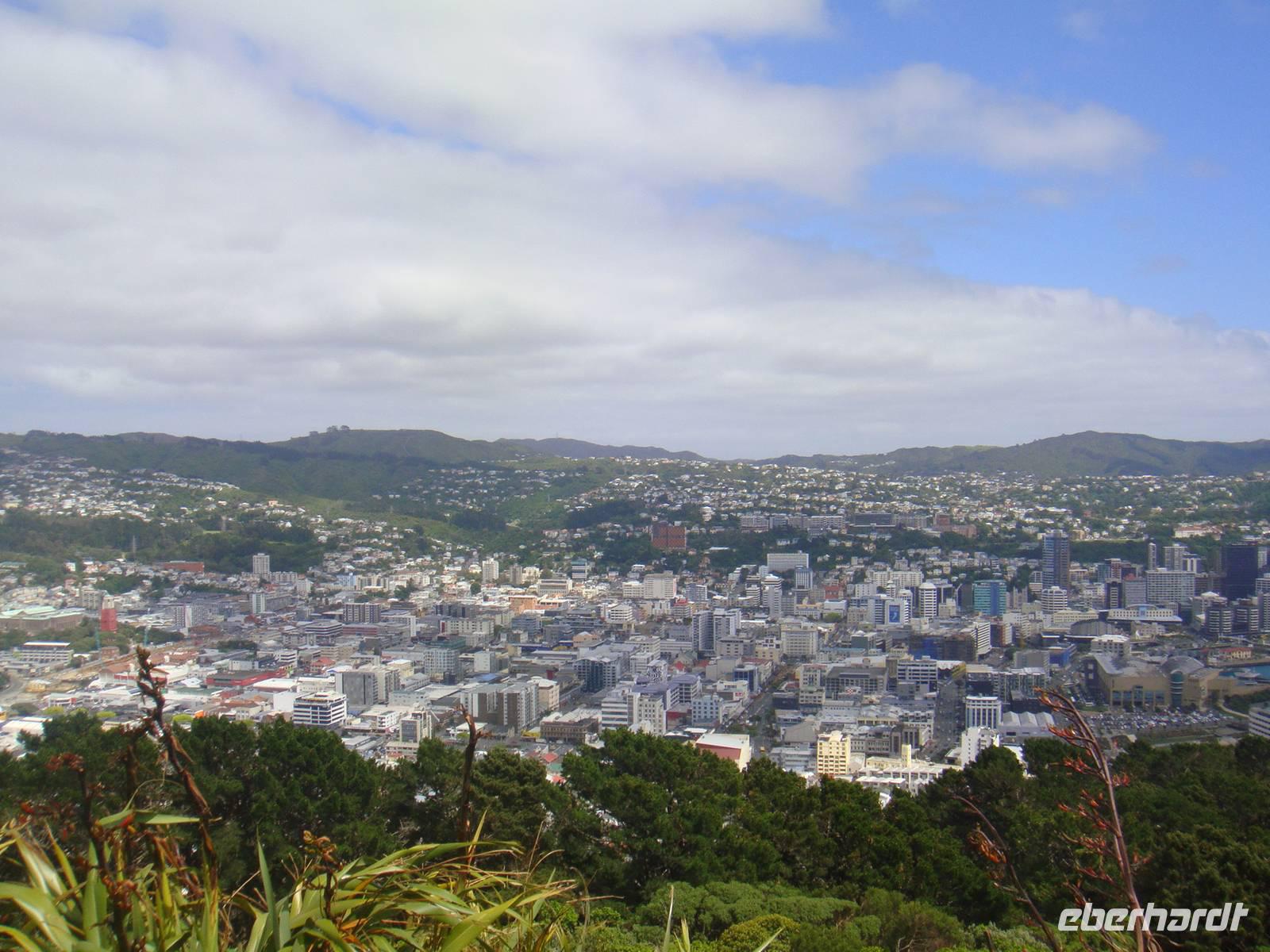 Blick über Wellington