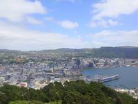 Blick über Wellington