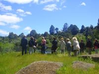 Spaziergang mit einer Maori