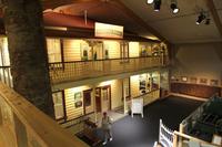 Im Kauri-Museum Matakohe