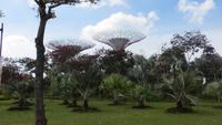 0076 Singapur - Golden Gardens