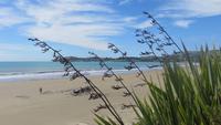 0267 Moeraki Boulders