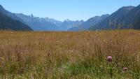 0364 Fahrt zum Milford-Sound -