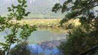 0368 Fahrt zum Milford-Sound - Lake Mirrow -  an den Spiegelseen