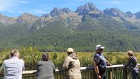 0370 Fahrt zum Milford-Sound - Lake Mirrow -  an den Spiegelseen