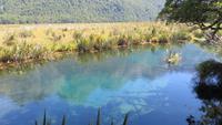 0374 Fahrt zum Milford-Sound - Lake Mirrow -  an den Spiegelseen