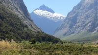 0383 Fahrt zum Milford-Sound - Mount Christina