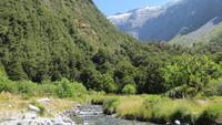 0386 Fahrt zum Milford-Sound -