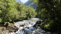 0403 Fahrt zum Milford-Sound - Spaziergang durch die Klamm -