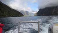 0438  Milford-Sound - Fahrt mit der Milford Marnier - Ausflug mit dem Tenderboot