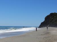 0677 Fahrt zur Westküste - Ship Creek an der Tasmansee -