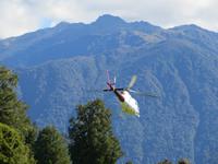 0751 Fox Glacier - Helikopterflug -