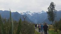 0774 Spaziergang zum Lake Matheson - Mount Tasman und Mount Cook