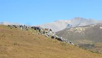 0897 Fahrt nach Christchurch - Blick zurück zum Arthurs Nationalpark