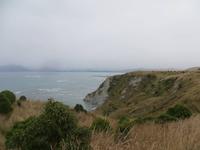 0932 Kaikoura - Spaziergang auf der Kaikoura-Halbinsel