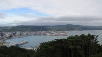 0990 Wellington - Blick von der Viktoria-Aussicht