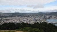 0991 Wellington - Blick von der Viktoria-Aussicht