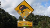 1051  Ohakune - Warnschild vor Kiwis