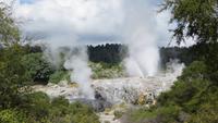 1149 Rotorua - Te Puia - Geysire