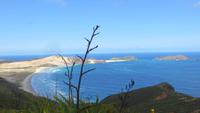 1398 Ausflug zum Cap Reinga - Blick vom Cap