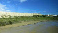 1447 Ausflug zum Cap Reinga - Fahrt zum 90 Miles Beach