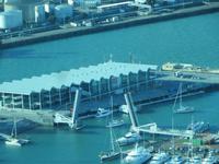 1585 Auckland - Blick vom Skytower