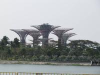 Garden By The Bay