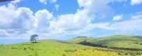 73 Landschaft Neuseeland