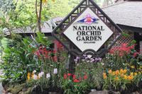 Orchideen-Viertel im Botanischen Garten