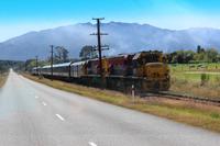 Tranz Alpine Express.jpg162