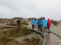 Dune Lake Walk an den Dünen