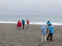 Gruppe beim Strand-Spaziergang 