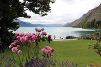 Blick auf den Garten und den Lake Wakatipu 