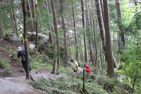Steiler Aufstieg bei der Wanderung zum Bob's Peak