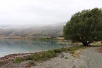 Blick auf den Lake Wakatipu 
