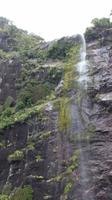 Wasserfall im Milford Sound 
