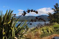 Lake Te Anau 