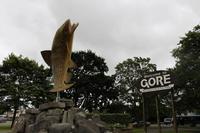 Forellenfigur in Gore