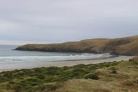 Bucht der Gelbaugenpinguine